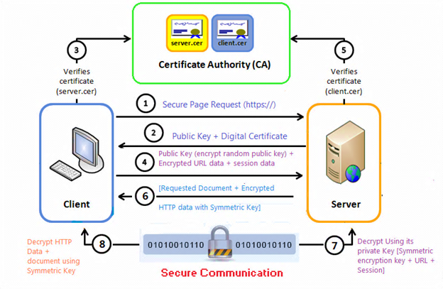 HTTPS Handshake